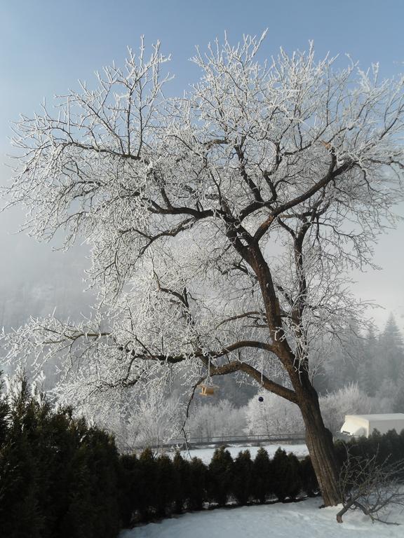 Hotel Gasthof Klammstein Dorfgastein Luaran gambar